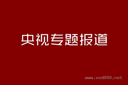 央视专题报道