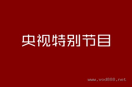 央视特别节目